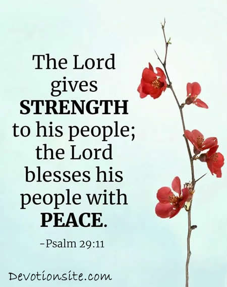 Encouraging Bible Verse:- Psalm 29:11